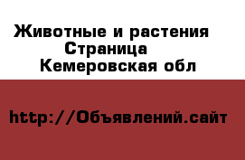  Животные и растения - Страница 2 . Кемеровская обл.